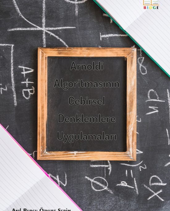 Arnoldi Algoritmasının Cebirsel Denklemlere Uygulamaları
