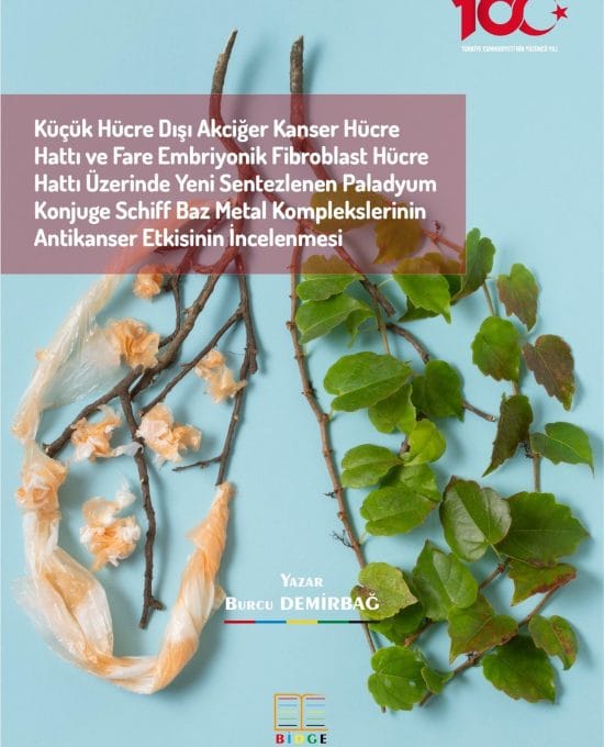 Küçük Hücre Dışı Akciğer Kanser Hücre Hattı ve Fare Embriyonik Fibroblast Hücre Hattı Üzerinde Yeni Sentezlenen Paladyum Konjuge Schiff Baz Metal Komplekslerinin Antikanser Etkisinin İncelenmesi